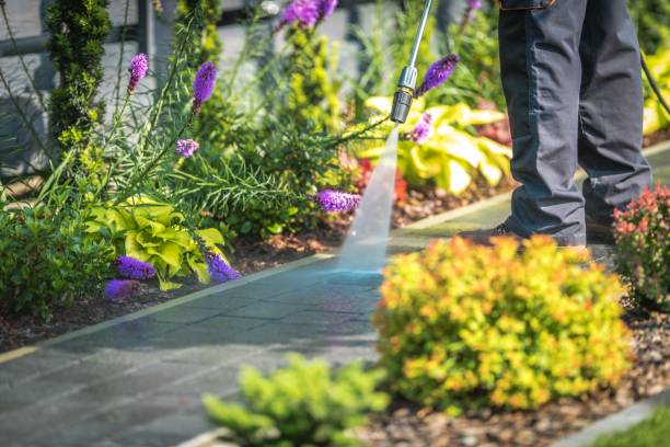 Best Fence Cleaning  in Nice, CA