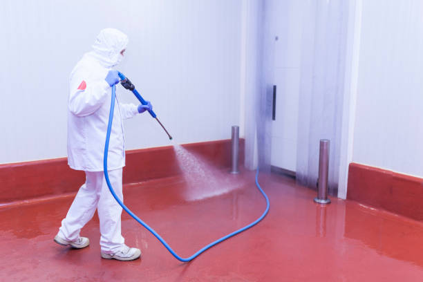 Best Oil Spill Cleanup  in Nice, CA