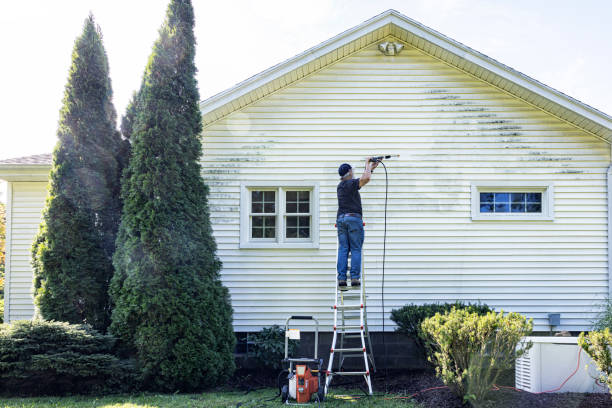 Best Roof Washing  in Nice, CA